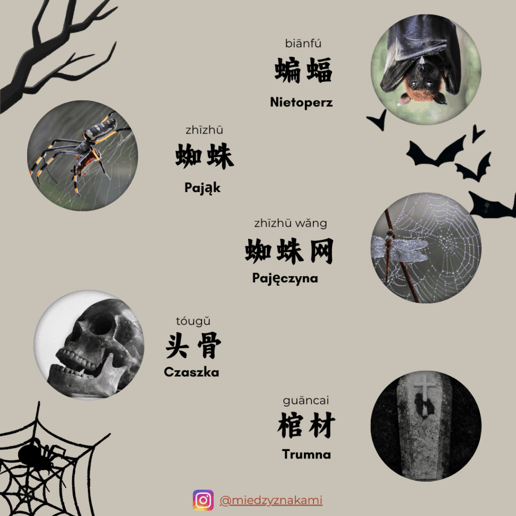 5 chińskich słówek związanych z Halloween: nietoperz, pająk, pajęczyuna, czaska i trumna